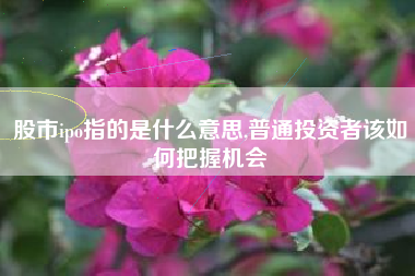 股市ipo指的是什么意思,普通投资者该如何把握机会