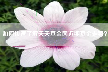 如何快速了解天天基金网近期基金走势？