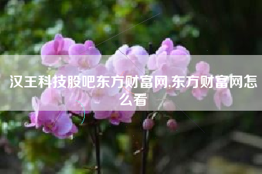 汉王科技股吧东方财富网,东方财富网怎么看