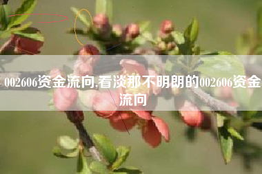 002606资金流向,看淡那不明朗的002606资金流向