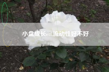小盘成长etf,流动性好不好