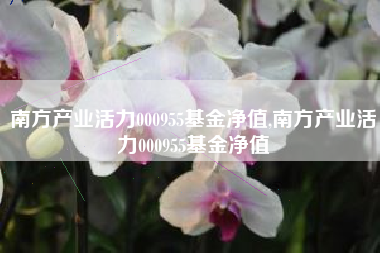 南方产业活力000955基金净值,南方产业活力000955基金净值