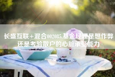 长盛互联+混合002085,基金经理是想作弊还是考验散户的心脏承受能力