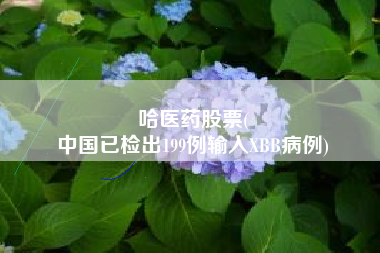 哈医药股票(
中国已检出199例输入XBB病例)