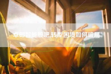 卓郎智能股吧,转型困境如何破局
