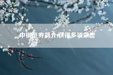 中银证券简介,获得多项荣誉
