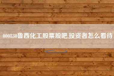000830鲁西化工股票股吧,投资者怎么看待