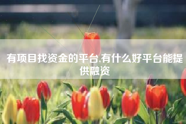 有项目找资金的平台,有什么好平台能提供融资