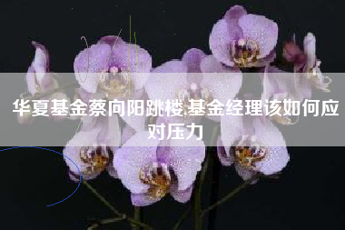华夏基金蔡向阳跳楼,基金经理该如何应对压力