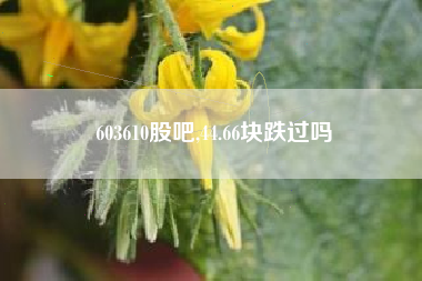 603610股吧,44.66块跌过吗