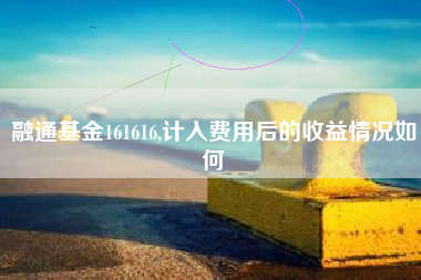融通基金161616,计入费用后的收益情况如何
