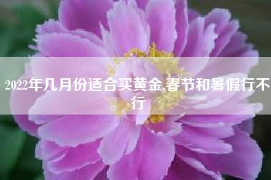 2022年几月份适合买黄金,春节和暑假行不行