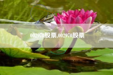 002970股票,002970股票