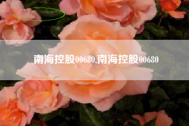 南海控股00680,南海控股00680