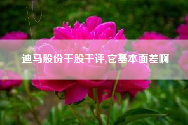 迪马股份千股千评,它基本面差啊
