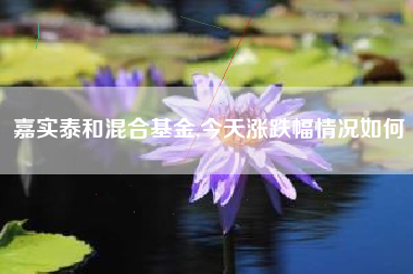 嘉实泰和混合基金,今天涨跌幅情况如何