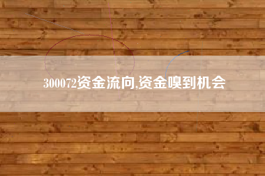 300072资金流向,资金嗅到机会