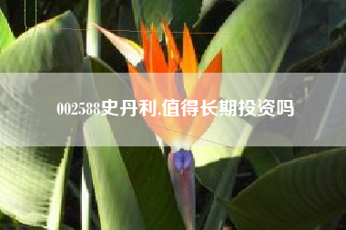 002588史丹利,值得长期投资吗