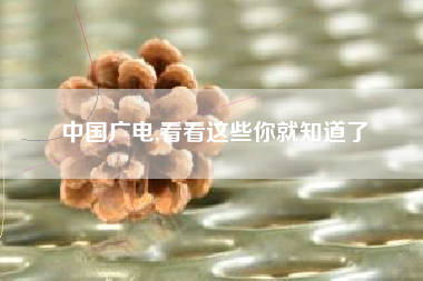 中国广电,看看这些你就知道了