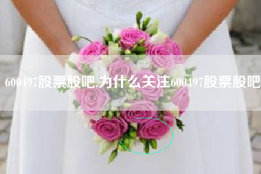 600497股票股吧,为什么关注600497股票股吧