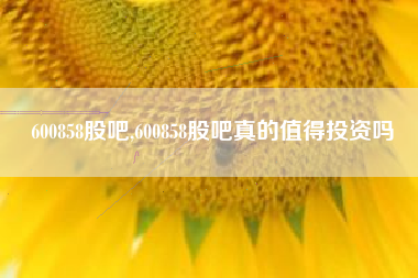 600858股吧,600858股吧真的值得投资吗