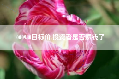 000930目标价,投资者是否赚钱了