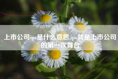 上市公司ipo是什么意思,ipo就是上市公司的第一次舞台