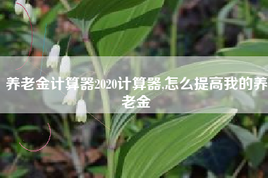 养老金计算器2020计算器,怎么提高我的养老金