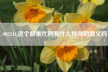 002244,这个股票代码有什么特别的意义吗