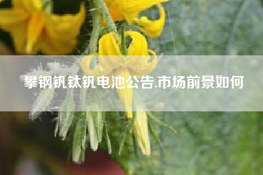 攀钢钒钛钒电池公告,市场前景如何