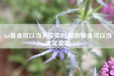lof基金可以当天买卖吗,哪些基金可以当天买卖呢