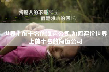 世界上前十名的海运公司,如何评价世界上前十名的海运公司