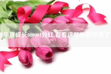华夏成长000001分红,看看这些你就知道了