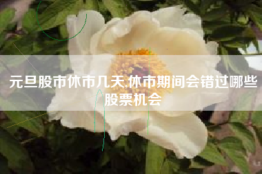 元旦股市休市几天,休市期间会错过哪些股票机会