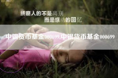 中银货币基金000699,中银货币基金000699
