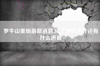 罗牛山重组最新消息,除了增资之外还有什么进展