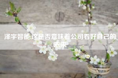 泽宇智能,这是否意味着公司看好自己的未来