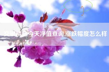 交银精选今天净值查询,涨跌幅度怎么样