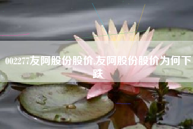 002277友阿股份股价,友阿股份股价为何下跌