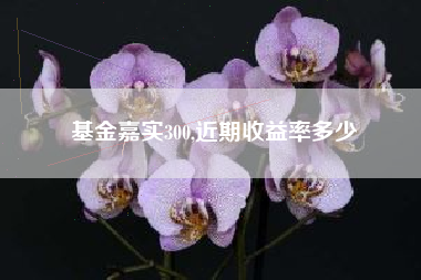 基金嘉实300,近期收益率多少