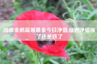 国泰金鹏蓝筹基金今日净值,最近净值涨了还是跌了