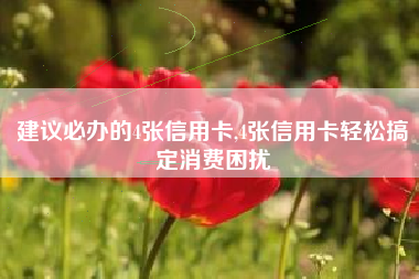 建议必办的4张信用卡,4张信用卡轻松搞定消费困扰