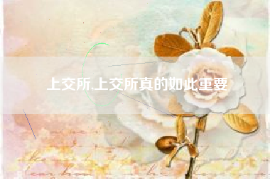 上交所,上交所真的如此重要