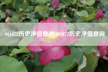 001072历史净值查询,001072历史净值查询