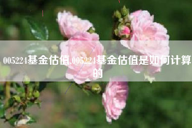 005224基金估值,005224基金估值是如何计算的