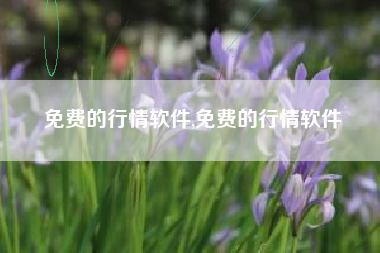 免费的行情软件,免费的行情软件