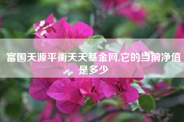 富国天源平衡天天基金网,它的当前净值是多少