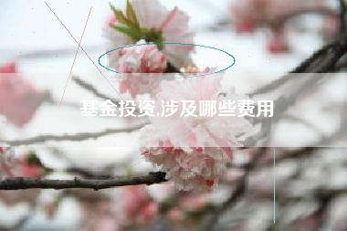 基金投资,涉及哪些费用