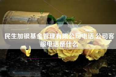 民生加银基金管理有限公司电话,公司客服电话是什么