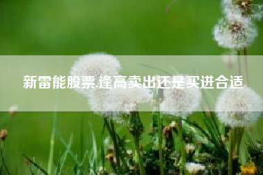 新雷能股票,逢高卖出还是买进合适
